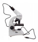 Mikroskops Bērniem Levenhuk D50L PLUS 2.5M ar digitālo kameru Baltā Krāsā  69081